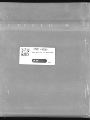 Buste protettive per Dischi 45 giri 100 micron